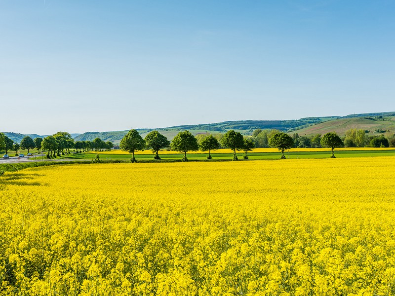 Otazníky nad budoucností biopaliv 