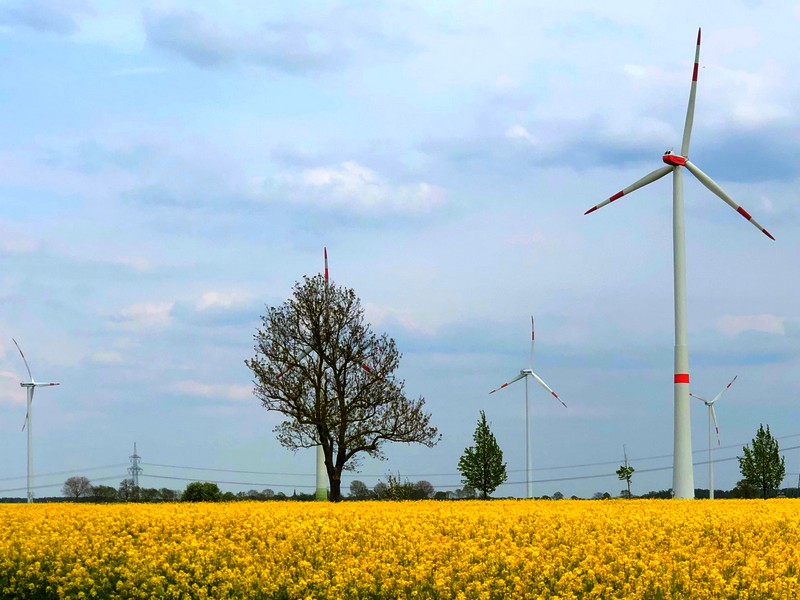 Některé projekty EU v oblasti klimatu by se mohly odložit