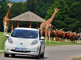 autoweek.cz - ZOO Dvůr Králové a Nissan představily projekt E-safari