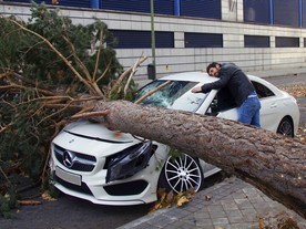 autoweek.cz - Vyjádření AXY ke škodám způsobeným vichřicí Herwart