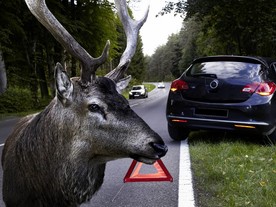autoweek.cz - Objem pojistných podvodů opět vzrostl