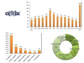 autoweek.cz - Informace o trhu ojetých vozidel za rok 2013