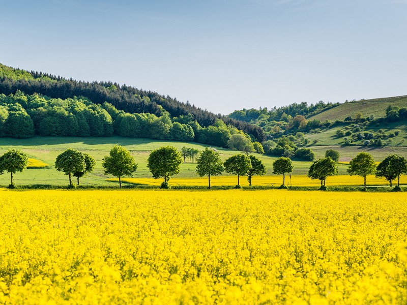 Boj o biopaliva pokračuje