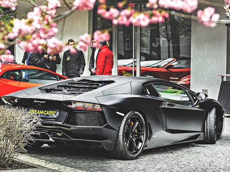 8. sezóna půjčovny aut snů Dream-Cars
