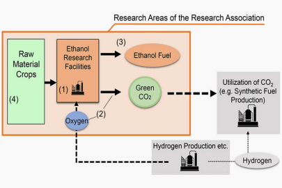 výroba biomasy