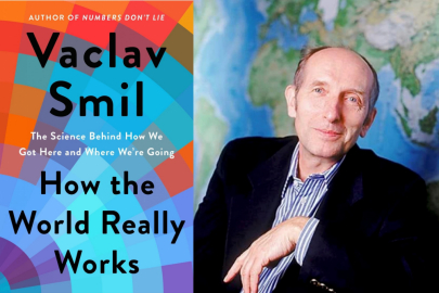 Václav Smil How the world realy works