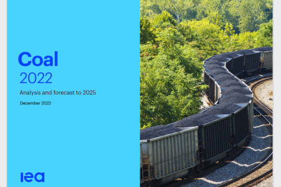 IEA Coal 2022