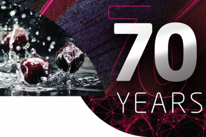 Axalta Global Automotive 2022 Color Popularity Report