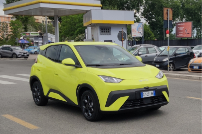 BYD Dolphin Surf