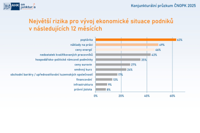 Konjunkturální průzkum 2025