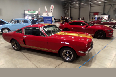 Ford Mustang Shelby Rent-a-Racer 1966 a 2022