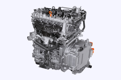 HORSE D20 Methanol