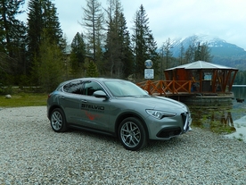 Alfa Romeo Stelvio 2,0 MultiAir Turbo Q4