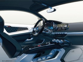 Alpine Vision