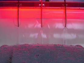 Benzina Car wash Exkluziv