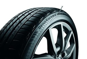 Bridgestone DriveGuard
