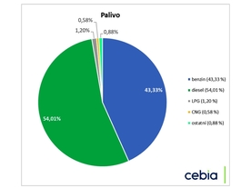 Cebia Summary 1/2020 - paliva
