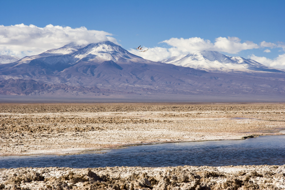 Chile plánuje znárodnit těžbu lithia