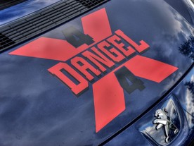 Dangel Expert Tepee 4x4