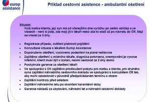 Cestovní asistence