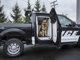 Ford F-150 Special Service Vehicle