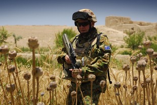 autoweek.cz - Jak mohla biopaliva spasit Afghánistán