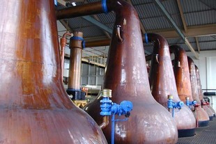 autoweek.cz - Whisky pomůže čistší dopravě!