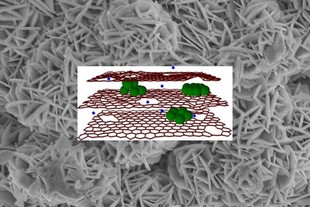 autoweek.cz - Zázračné akumulátory na dosah?