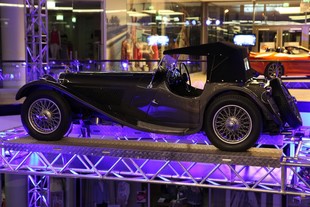 Arkády Pankrác: výstava V zajetí Jaguaru