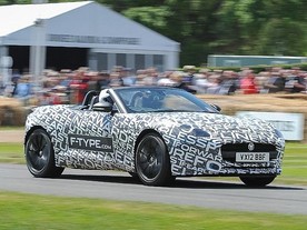 Jaguar F-Type v Goodwoodu