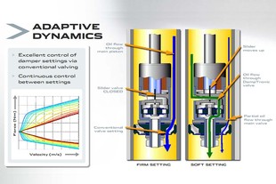Jaguar Adaptive Dynamics