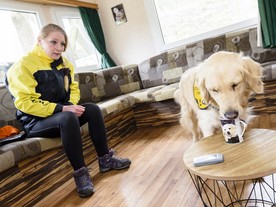 Asistenční psy cvičí organizace Helppes - i s podporou KMCz