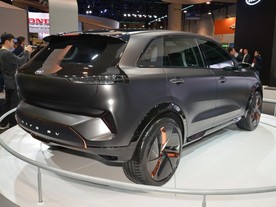 Kia Niro EV 