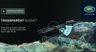 Transparent Bonnet