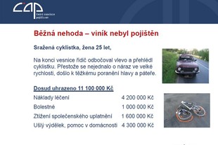 ČAP - měsíc pojištění