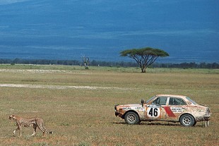 1974 Joginder Singh Colt Lancer 1600GSR Rallye Safari