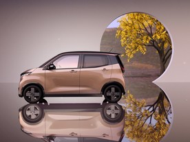 Nissan Sakura EV005 