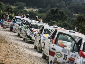 Peugeot  208 R2 Rally Cup 