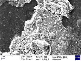 Trhlinky po 5 letech - 2500x