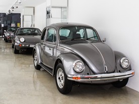 Volkswagen Brouk