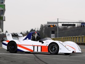 Radical SL