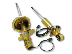 Tenneco Monroe CVSAe