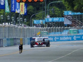 DevBott 2 se v Buenos Aires setkal i se psem