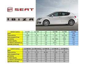Seat Ibiza 5D model 2012