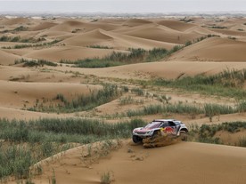 Cyril Despres/David Castera, Peugeot 3008 DKR, 13. etapa, 