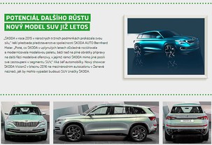 Škoda Auto v roce 2015