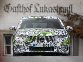 Škoda Fabia IV Zell am See