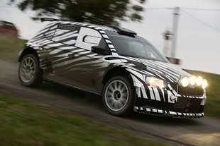 Škoda Fabia R 5
