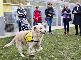 Zaměstnanci Škoda Auto podporují projekt Helppes