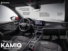 kamiq alsas 03
